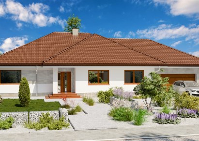 dom na sprzedaż - Wilkszyn